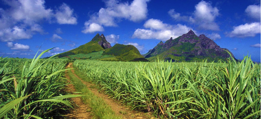 Climate of Mauritius